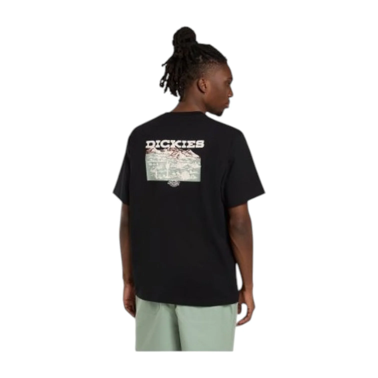 andascape Ss Tshirt B ack - Image 2