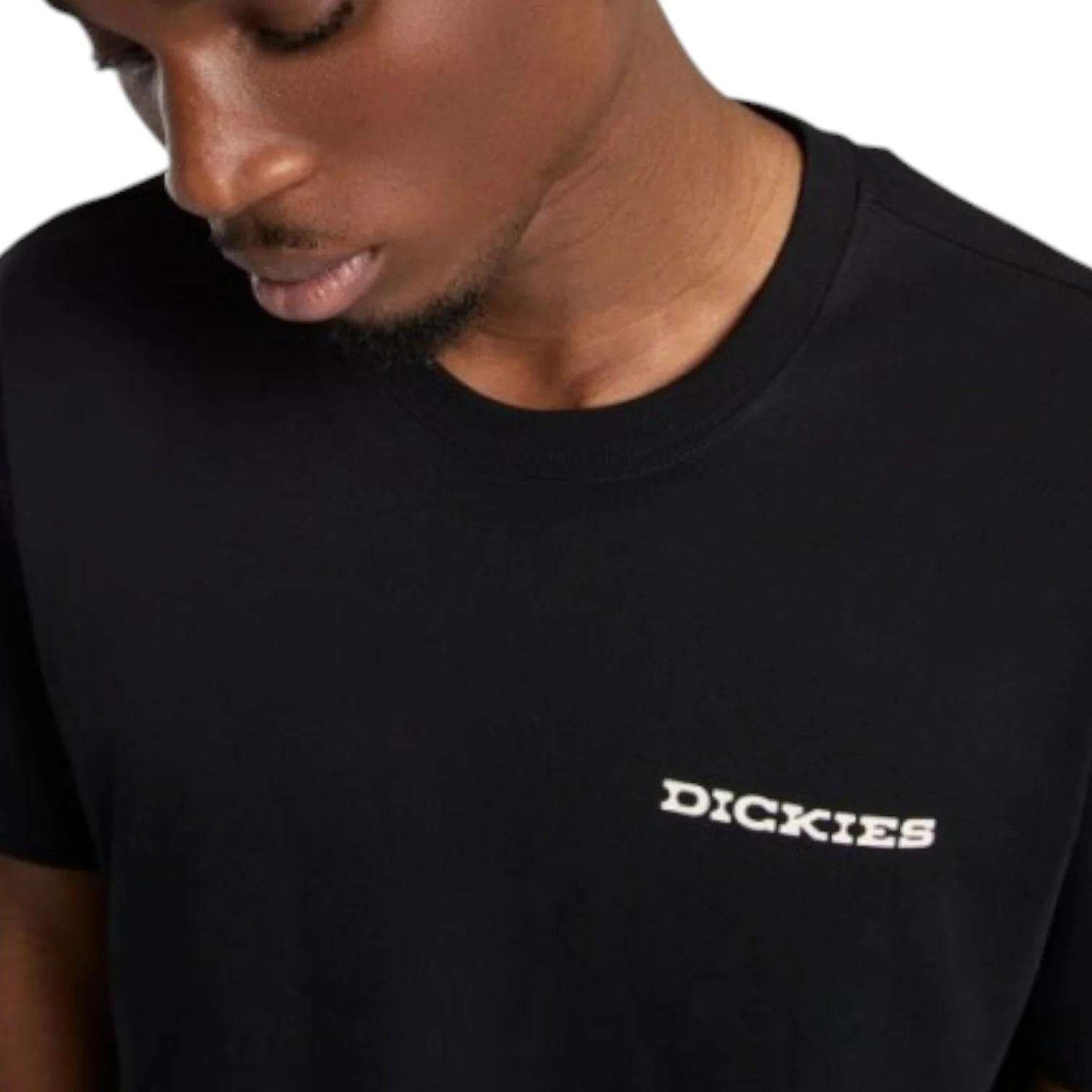 andascape Ss Tshirt B ack - Image 3