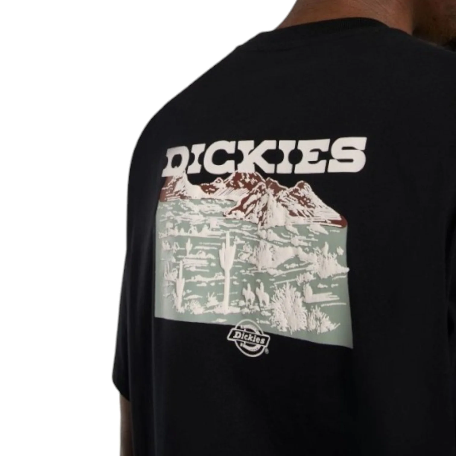 andascape Ss Tshirt B ack - Image 5