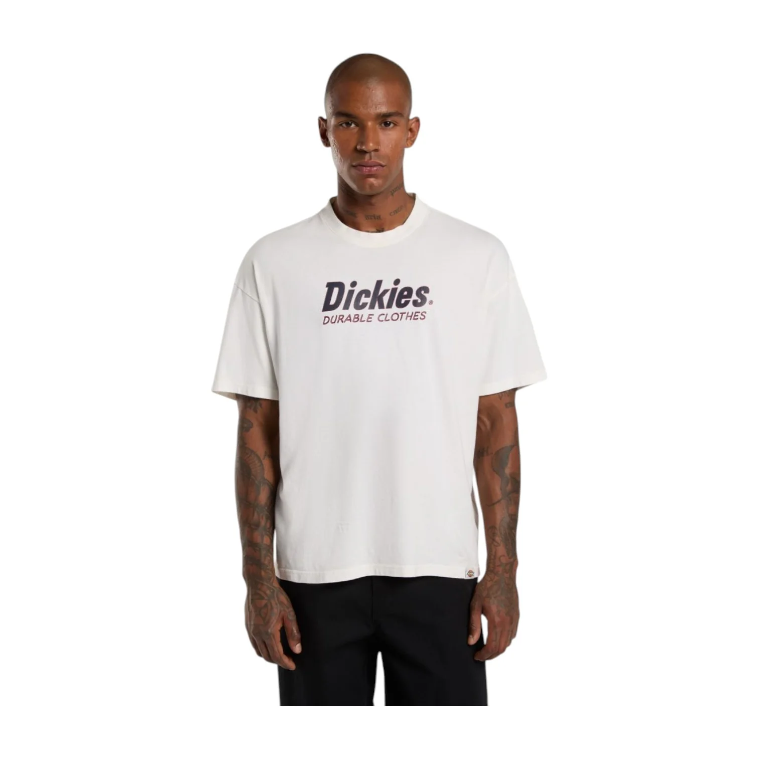 Williston Tshirt Ss Egret - Image 3