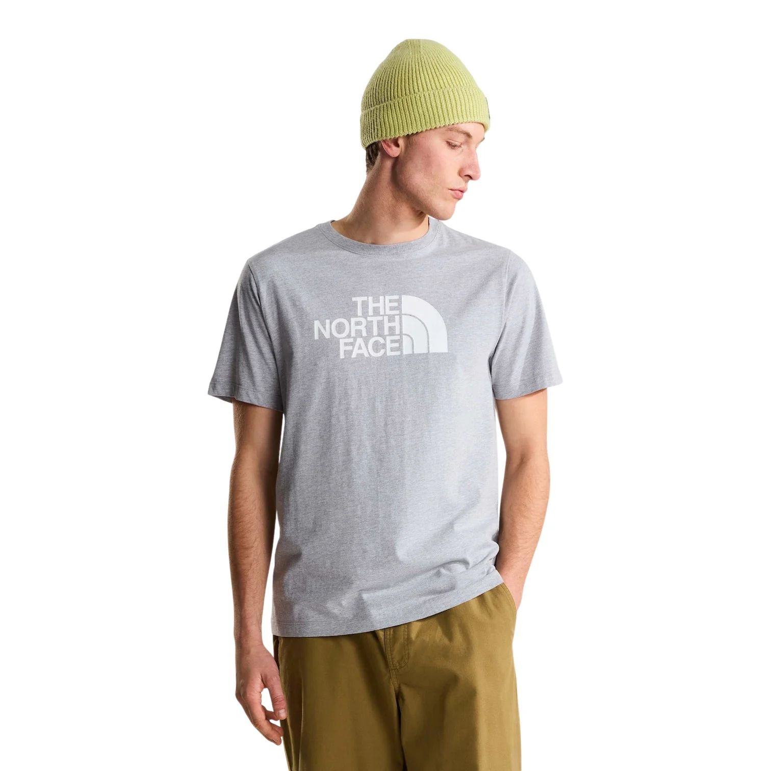 M EVOLUTION HALF DOME REGULAR SHORT SLEE TNF Pale Grey Heath - Image 3