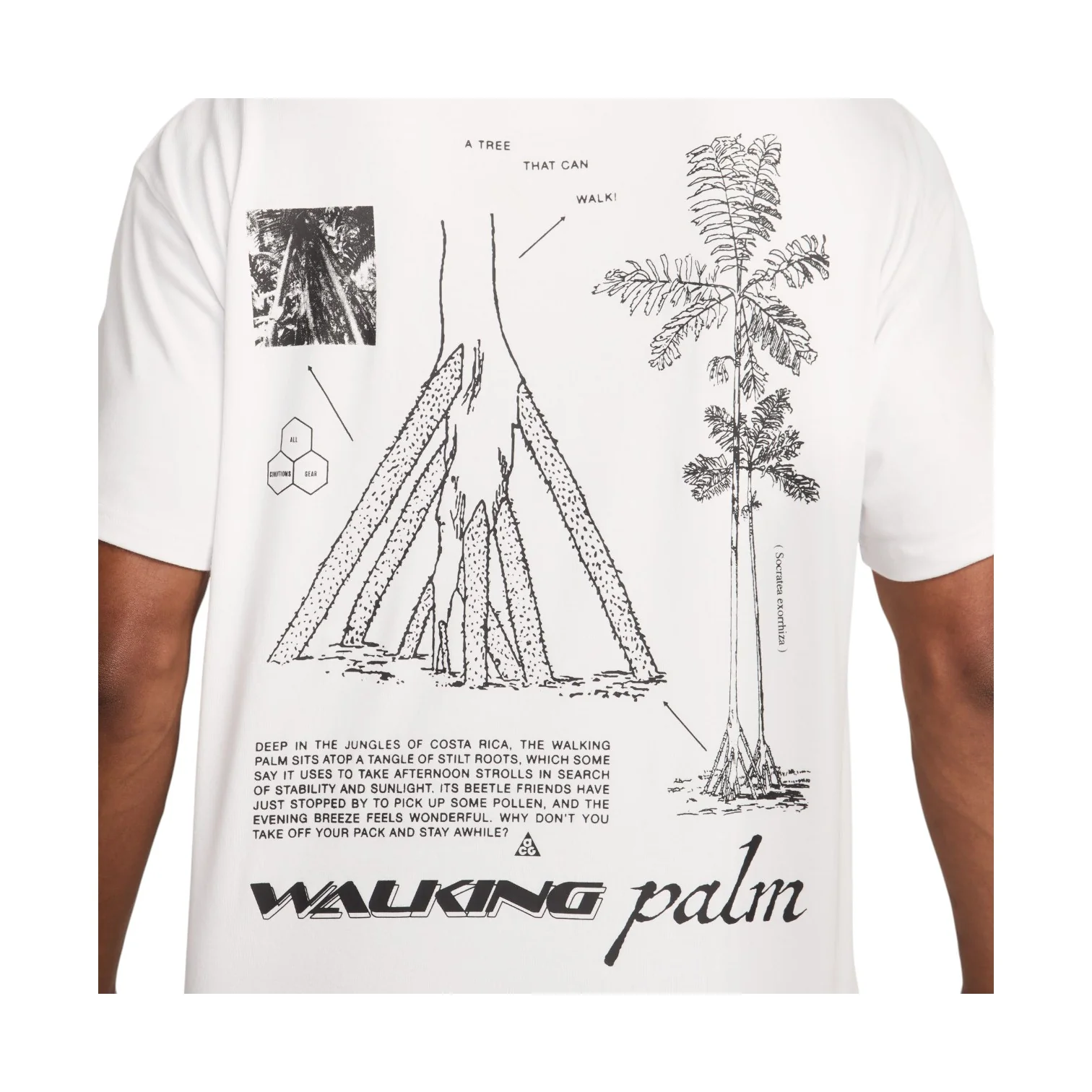 Acg Wa king Tree Drifit Tshirt - Image 4