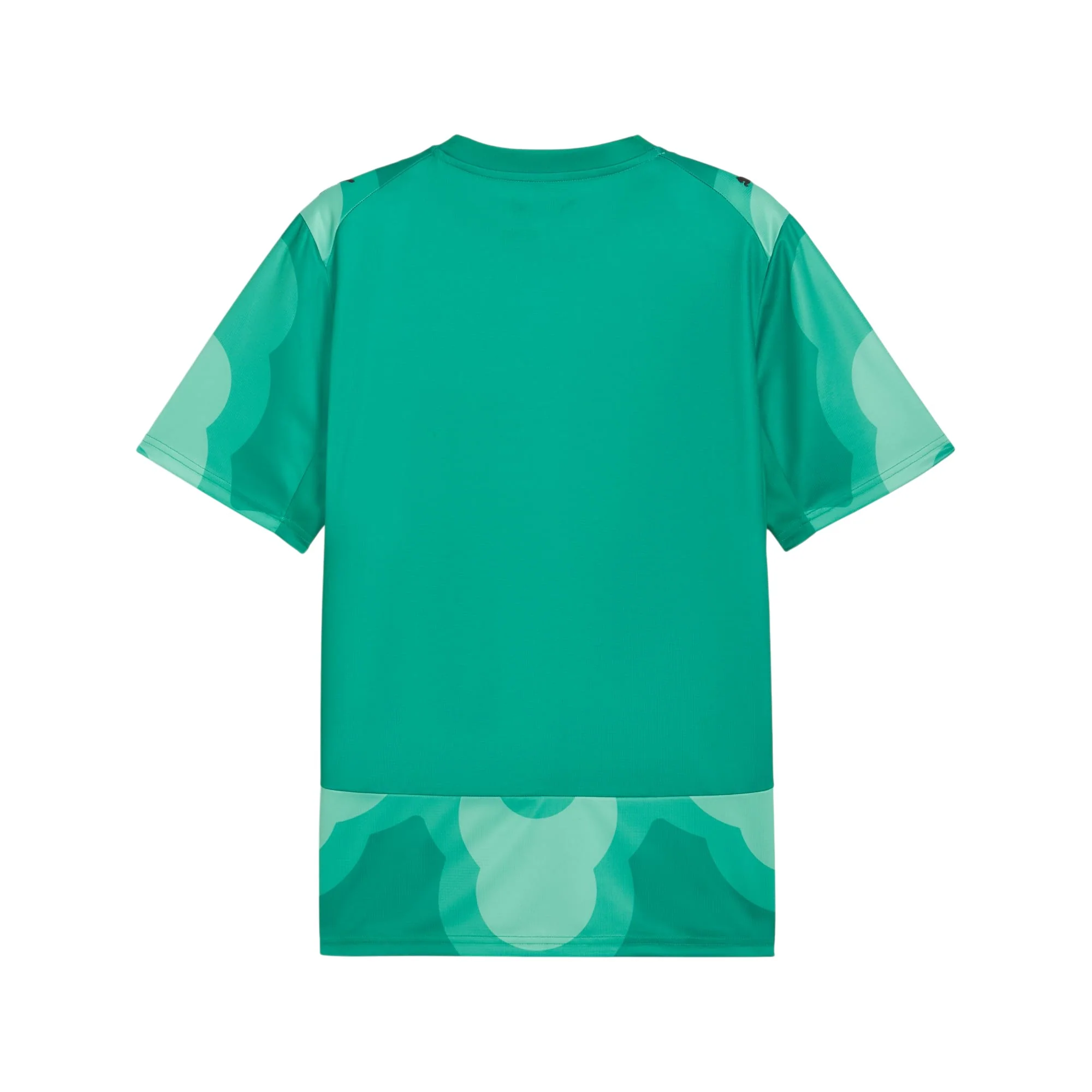 PUMA X COSTA D'AVORIO X SALEHE BEMBURY Replica Match Jersey Goalkeeper Green - Image 2